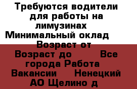 Требуются водители для работы на лимузинах. › Минимальный оклад ­ 40 000 › Возраст от ­ 28 › Возраст до ­ 50 - Все города Работа » Вакансии   . Ненецкий АО,Щелино д.